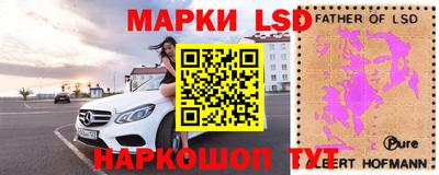 хмурый Кинель