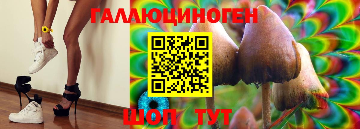 Кореновск  Псилоцибиновые грибы мицелий  Вход с VPN 